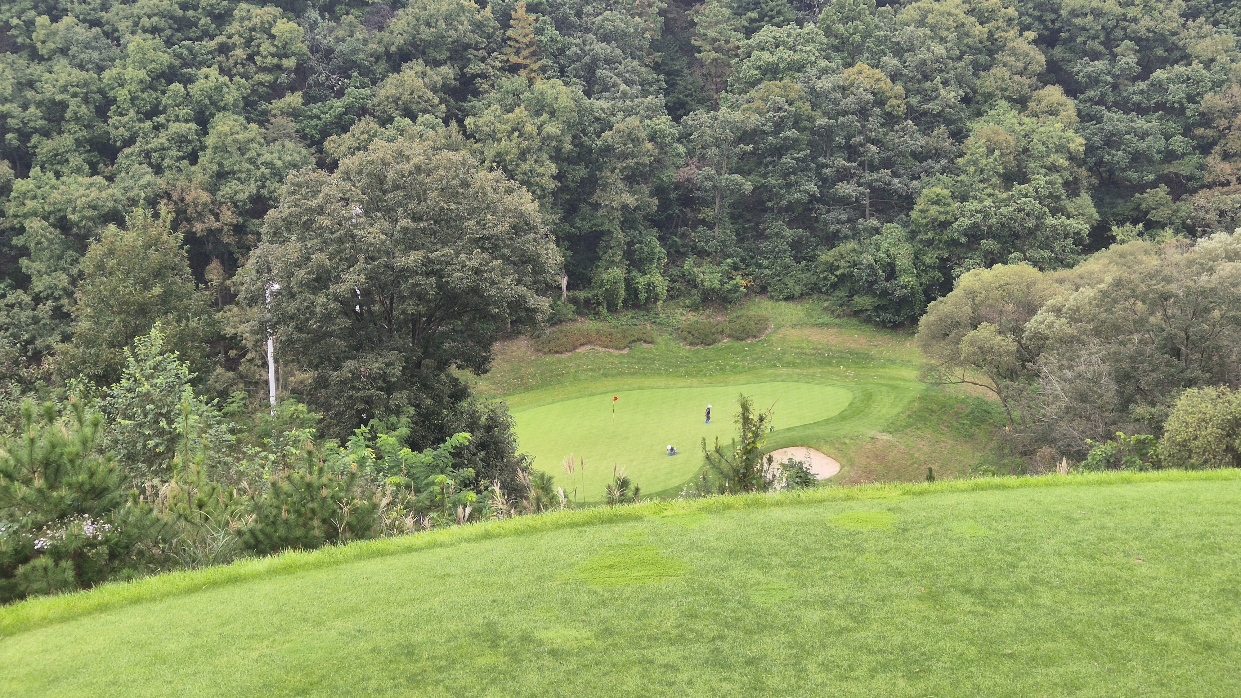 블랙스톤 벨포레cc 레이크코스