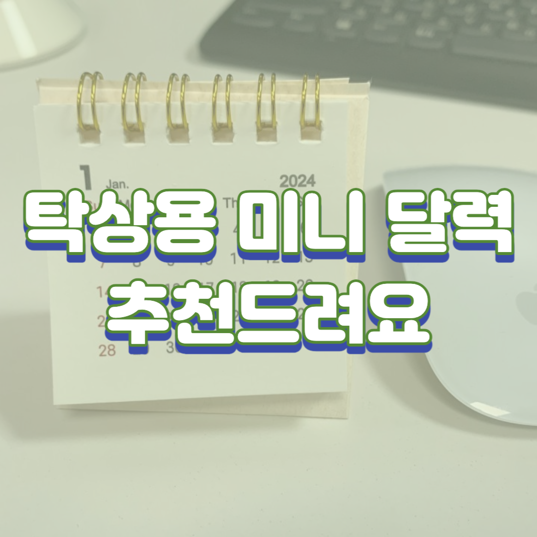 탁상용 미니 달력 추천드려요