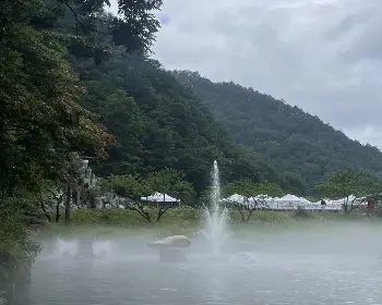 평창 더위사냥 축제19