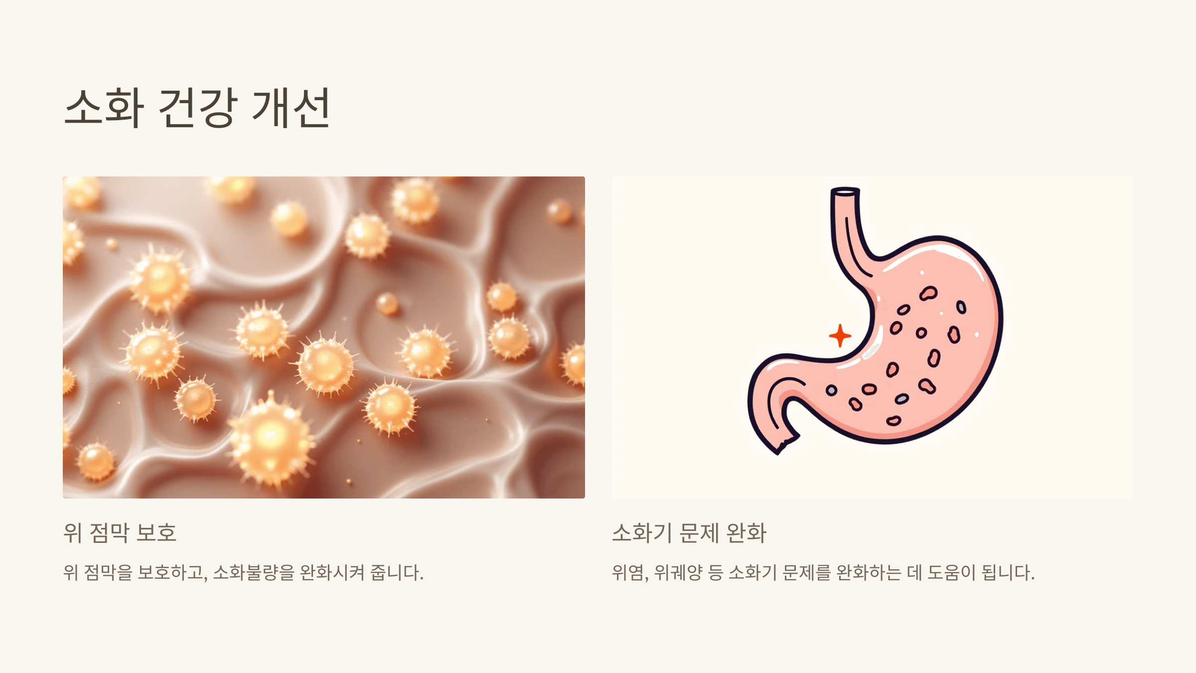 감초 사진입니다.