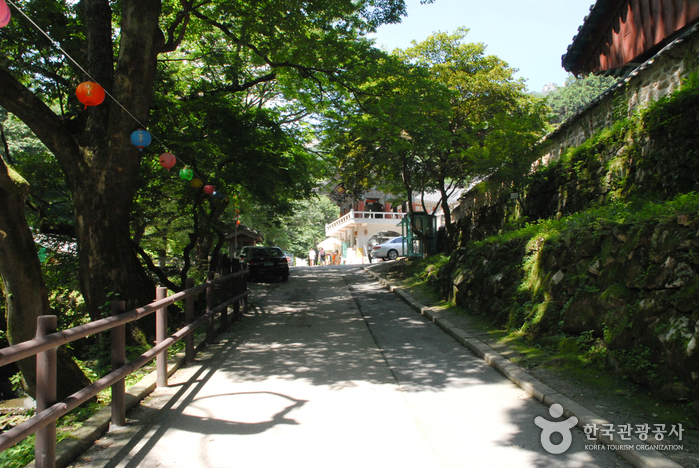 공주 가볼만한곳 베스트10