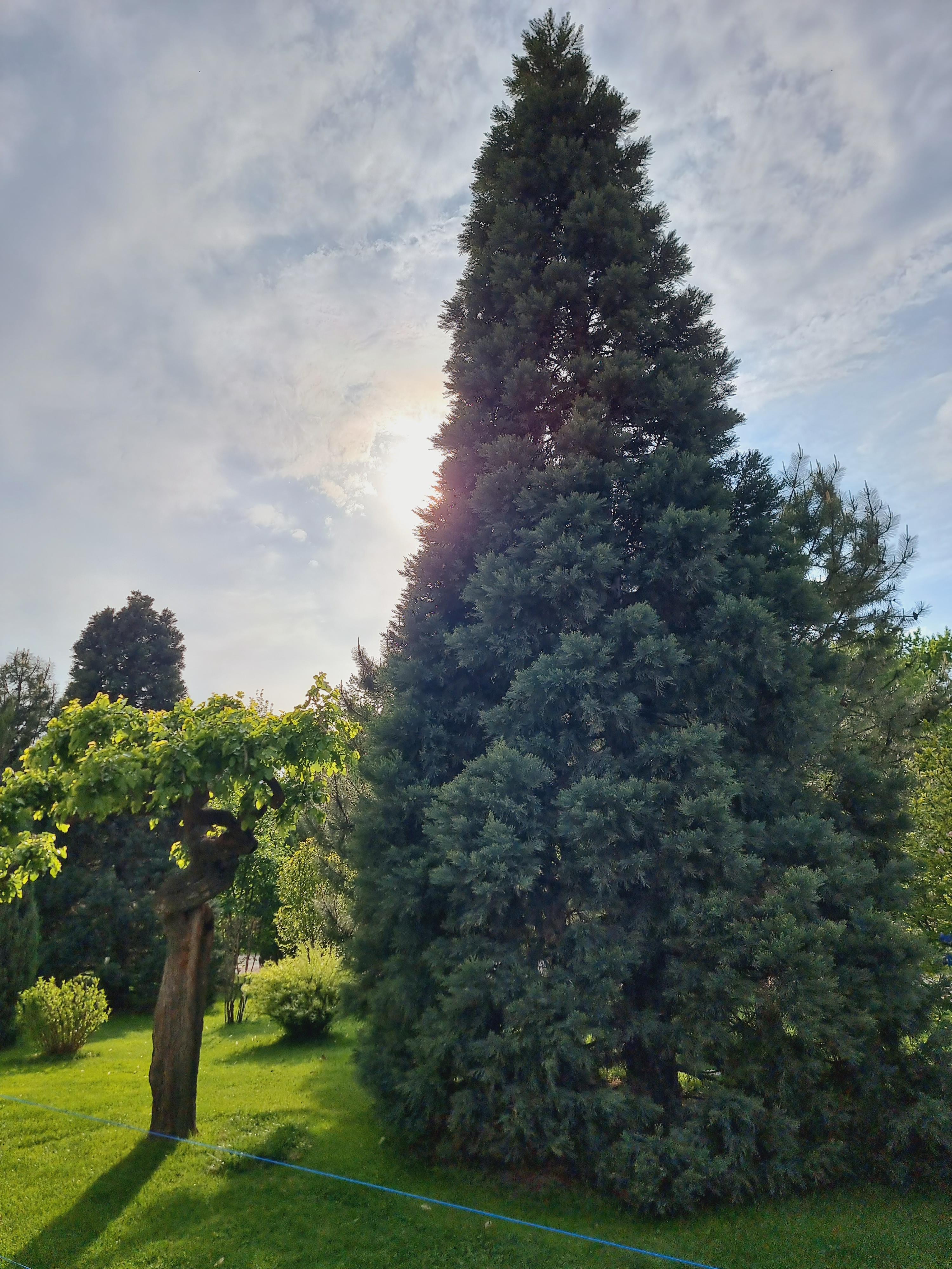 공원 주변 이모저모