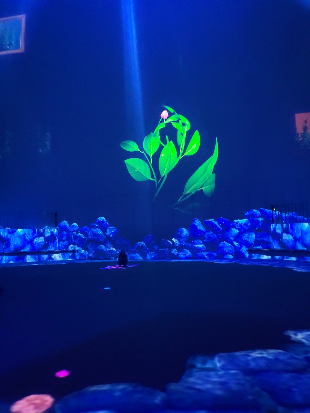 제주도 아이와 가볼만한곳 ( 노형슈퍼마켙 )