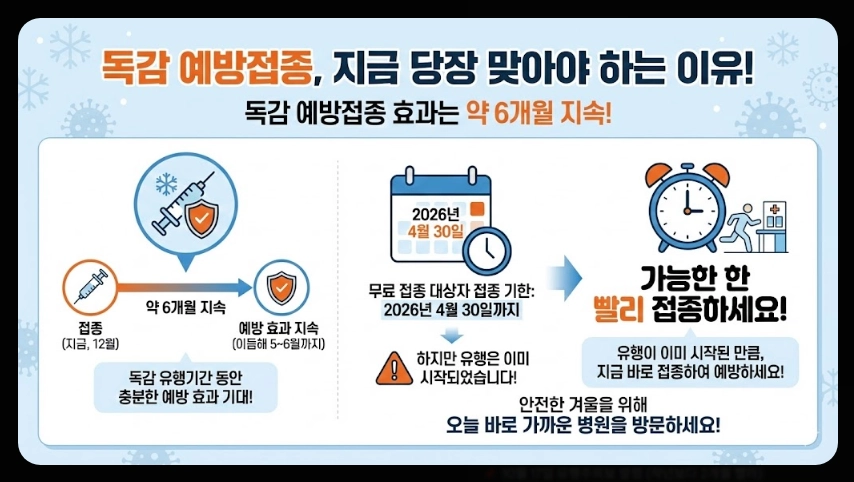 독감예방접종 가격비교,접종기간,3가 4가 백신차이