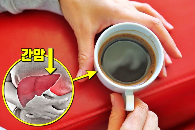 간에 좋은 음식,지방간에 좋은 음식,커피 효능,간암,간경화