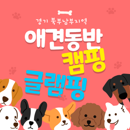 경기북부남부애견캠핑장