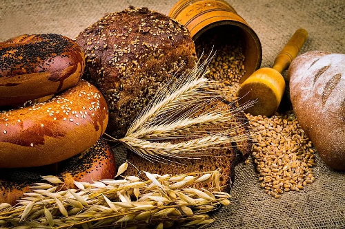 바게트와 브리오슈는 서로 다른 재료와 과학적 원리로 만들어진 대표적인 프랑스 빵 사진이다.