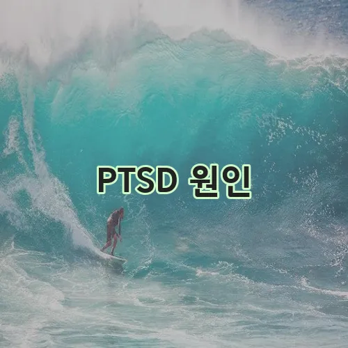 PTSD 원인, 증상, 치료 옵션