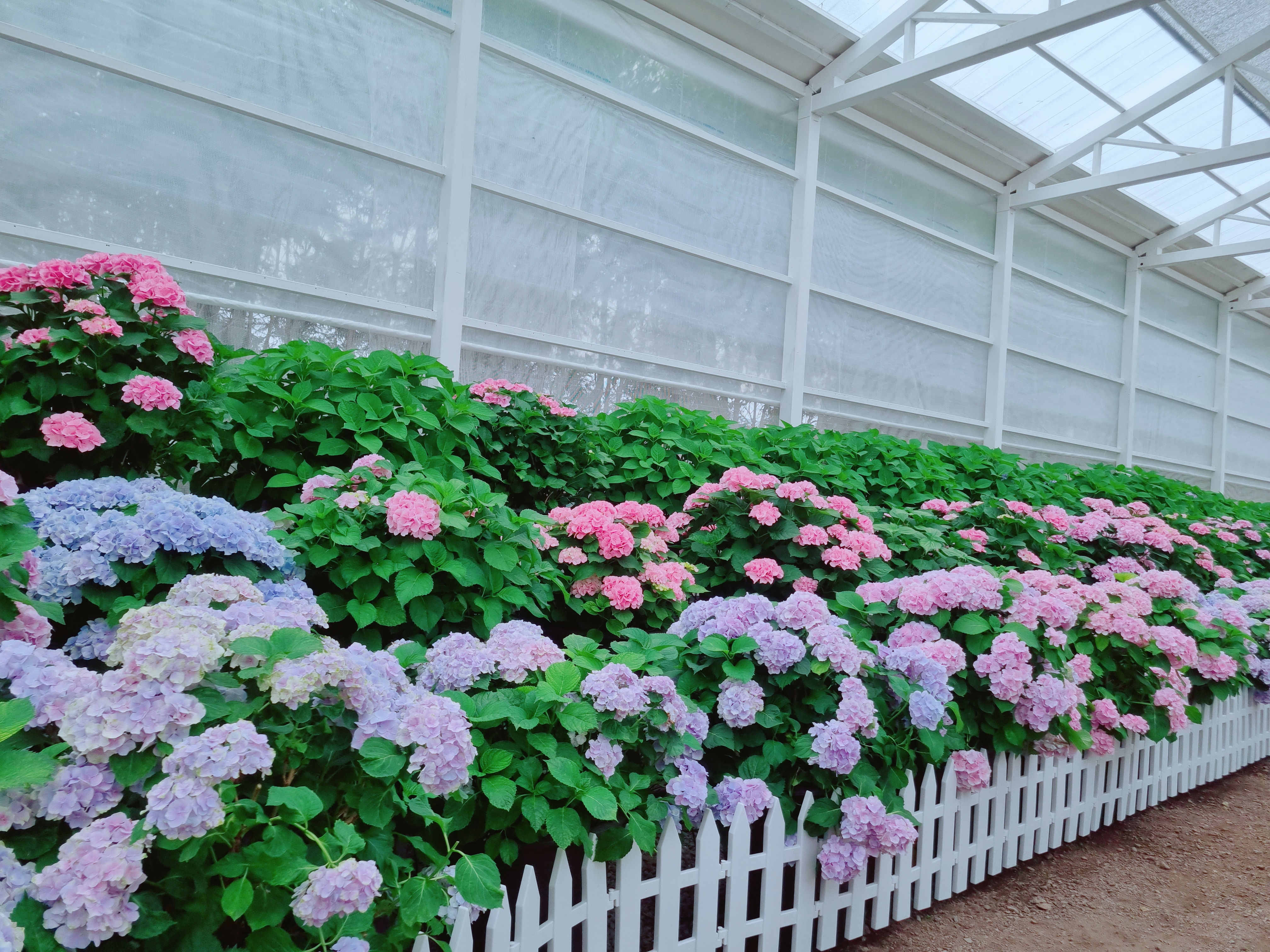 휴애리 자연생활공원