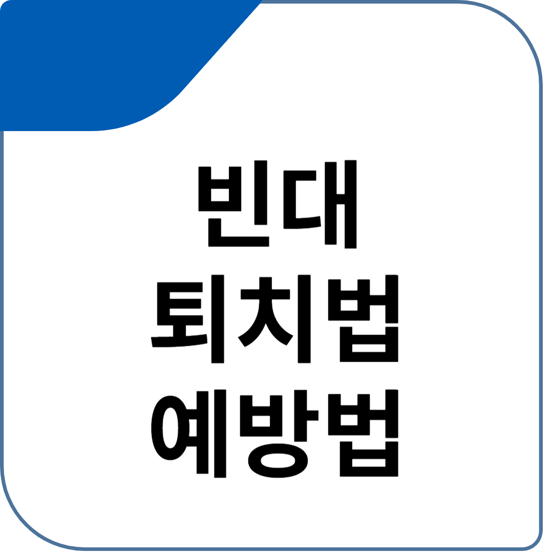 빈대 퇴치법 예방법 증상 진단 치료 정리