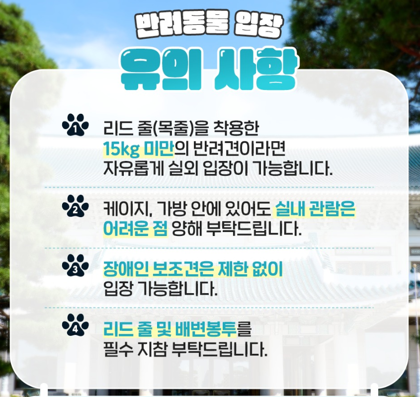 반려 동물 반려견 입장 시 유의사항