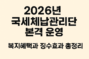 2026년 국세체납관리단 본격 운영 : 복지 혜택과 징수 효과 총정리