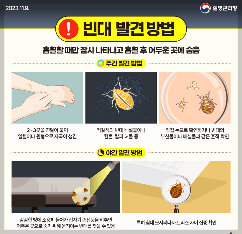 빈대 퇴치법 및 증상 A to Z