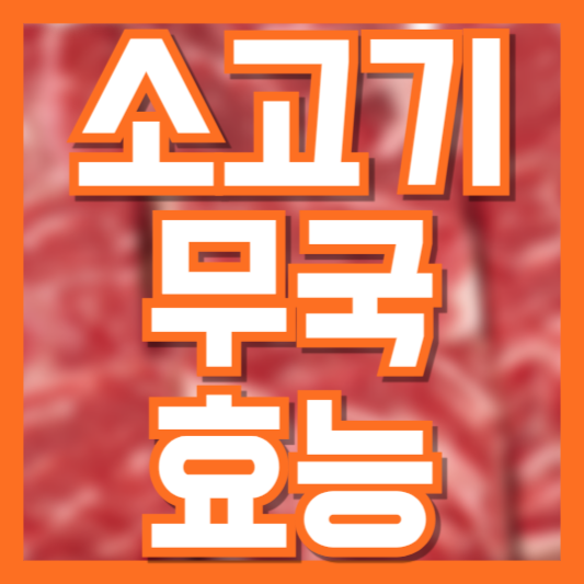 소고기무국 효능 6가지! 이 정도로 영양가가 많을줄이야!
