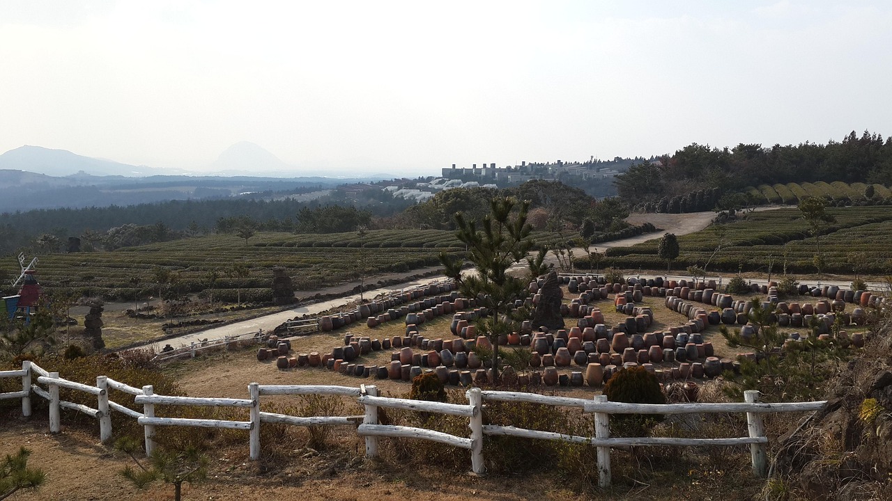 제주도 호텔