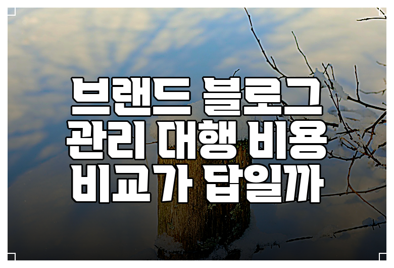 브랜드 블로그 관리 대행 비용 비교가 답일까