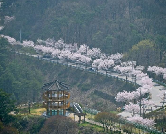 국사봉 전망대