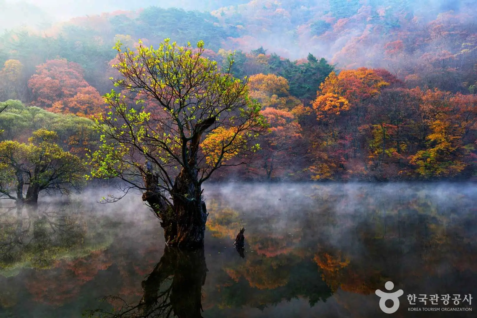 주산지