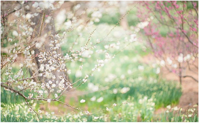 제주도 축제 일정