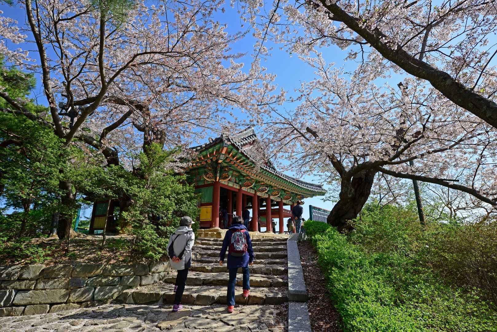 강원도 가볼만한곳 베스트10 강릉 경포대