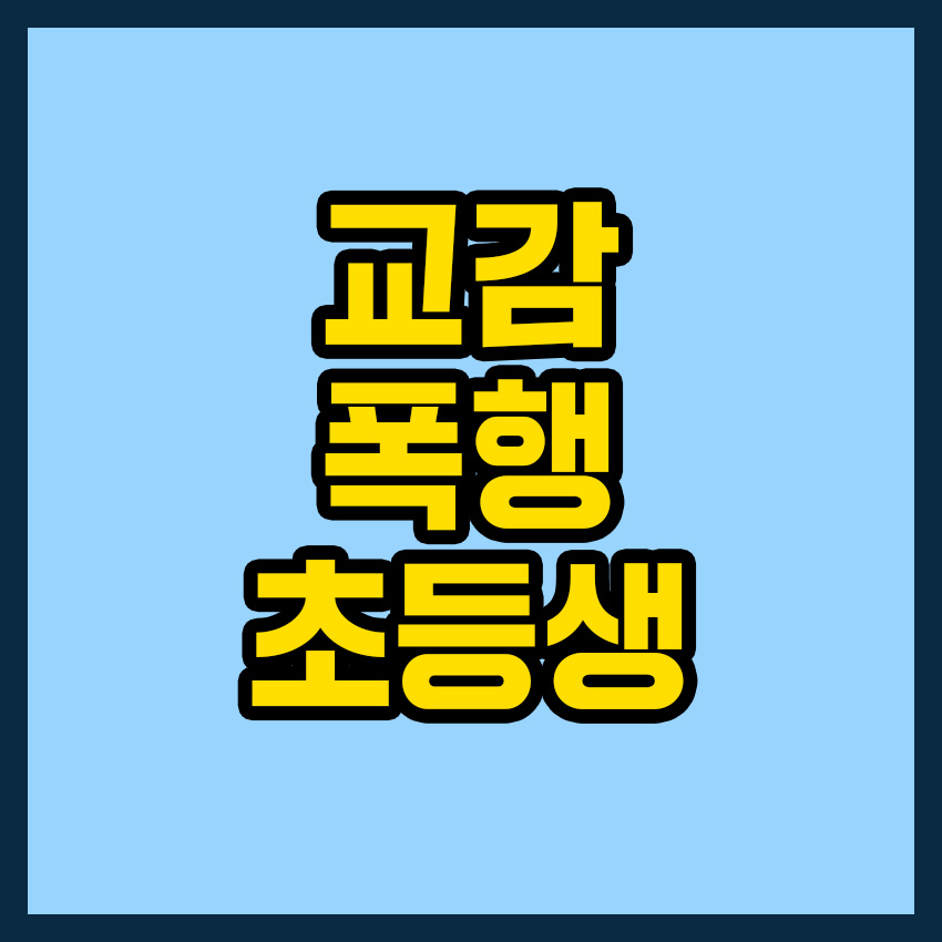 교감 폭행 초등생