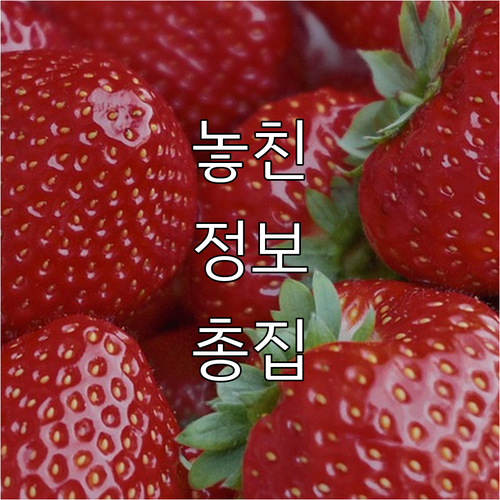 고용보험 미적용자 육아급여 신청 전 ..