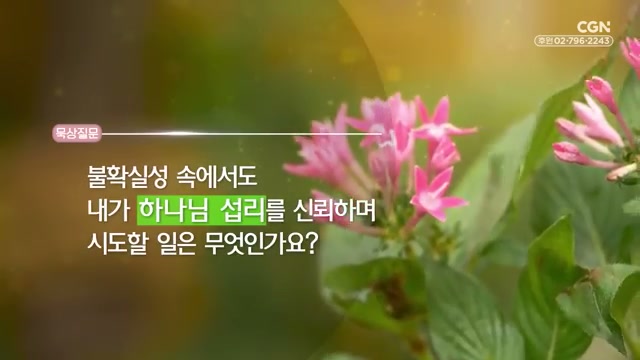 불확실성 속에서도 내가 하나님 섭리를 신뢰하며 시도할 일은 무엇인가요?