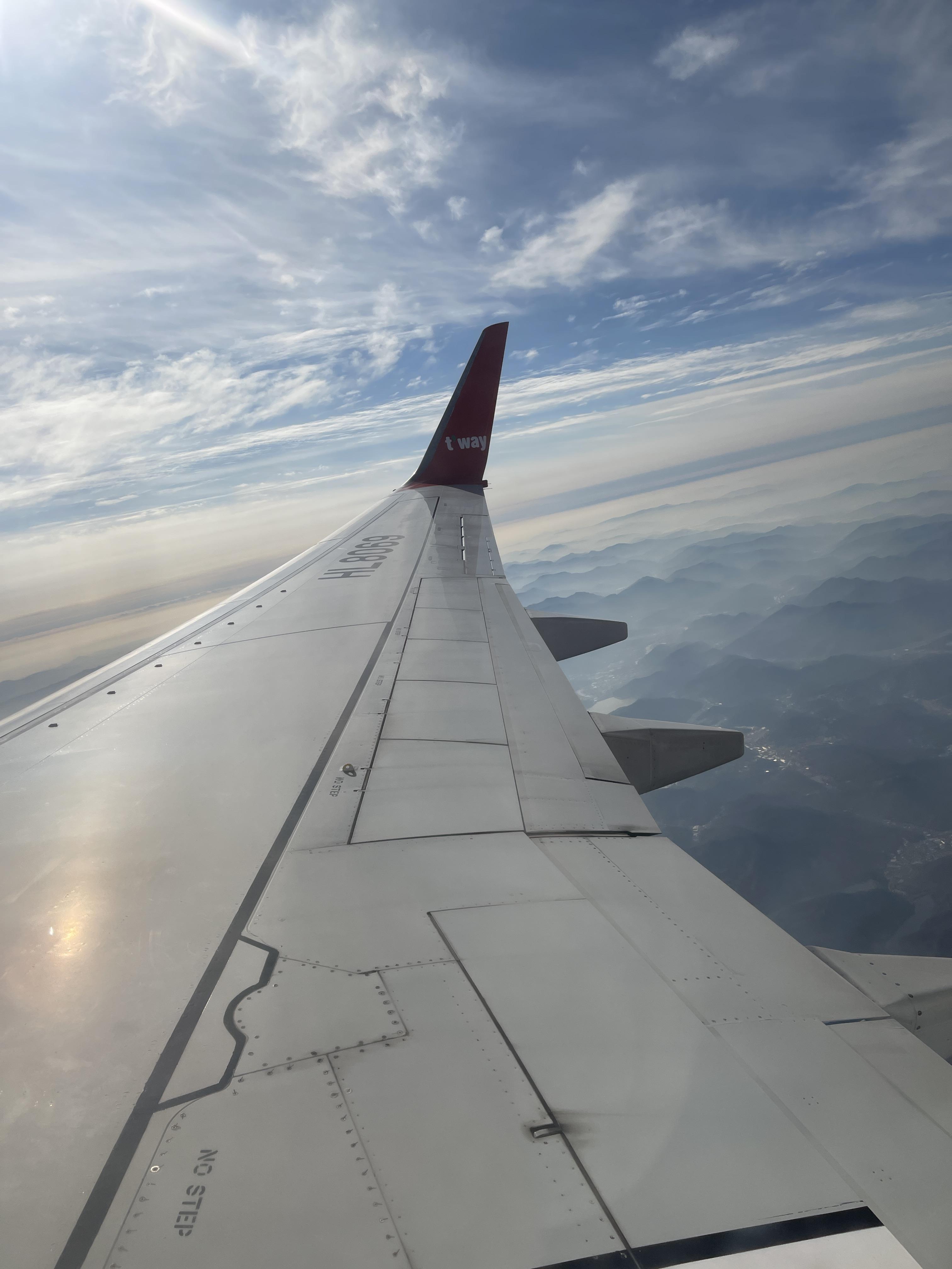 대구도쿄티웨이