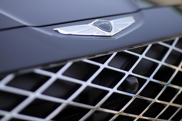 현대 제네시스 블루링크 사용 관련사진