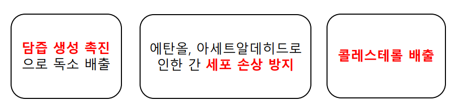 UDCA의 효능