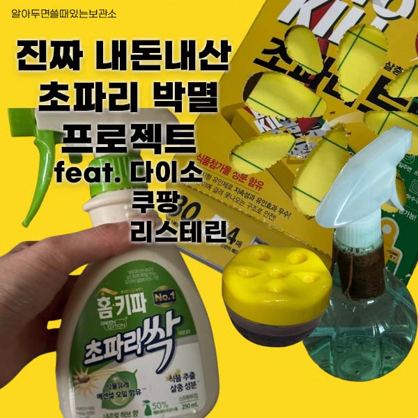 초파리 날파리 제거방법 다이소 리스테린 초파리싹