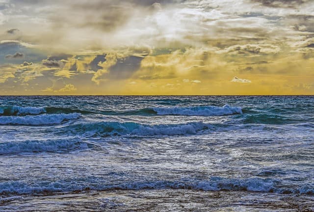 전통주와 어울리는 현대 요리 매칭 BEST 5