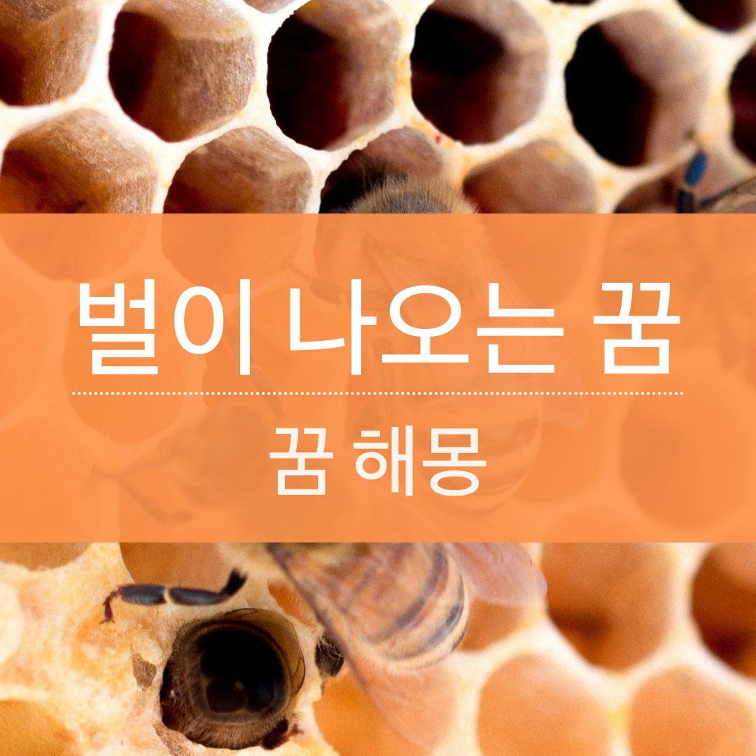 [해몽] 벌 꿈 풀이