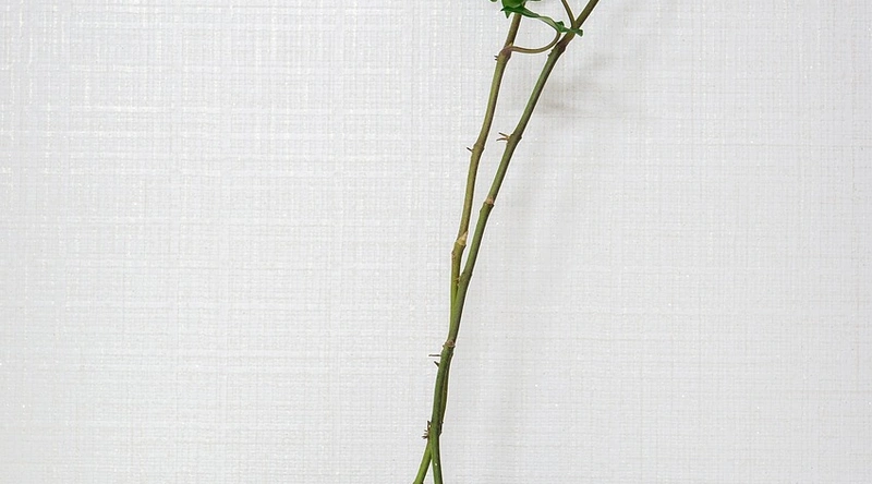 최근 빌라 인테리어 트렌드