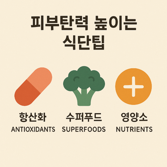 피부 노화 방지 전문 가이드 사진