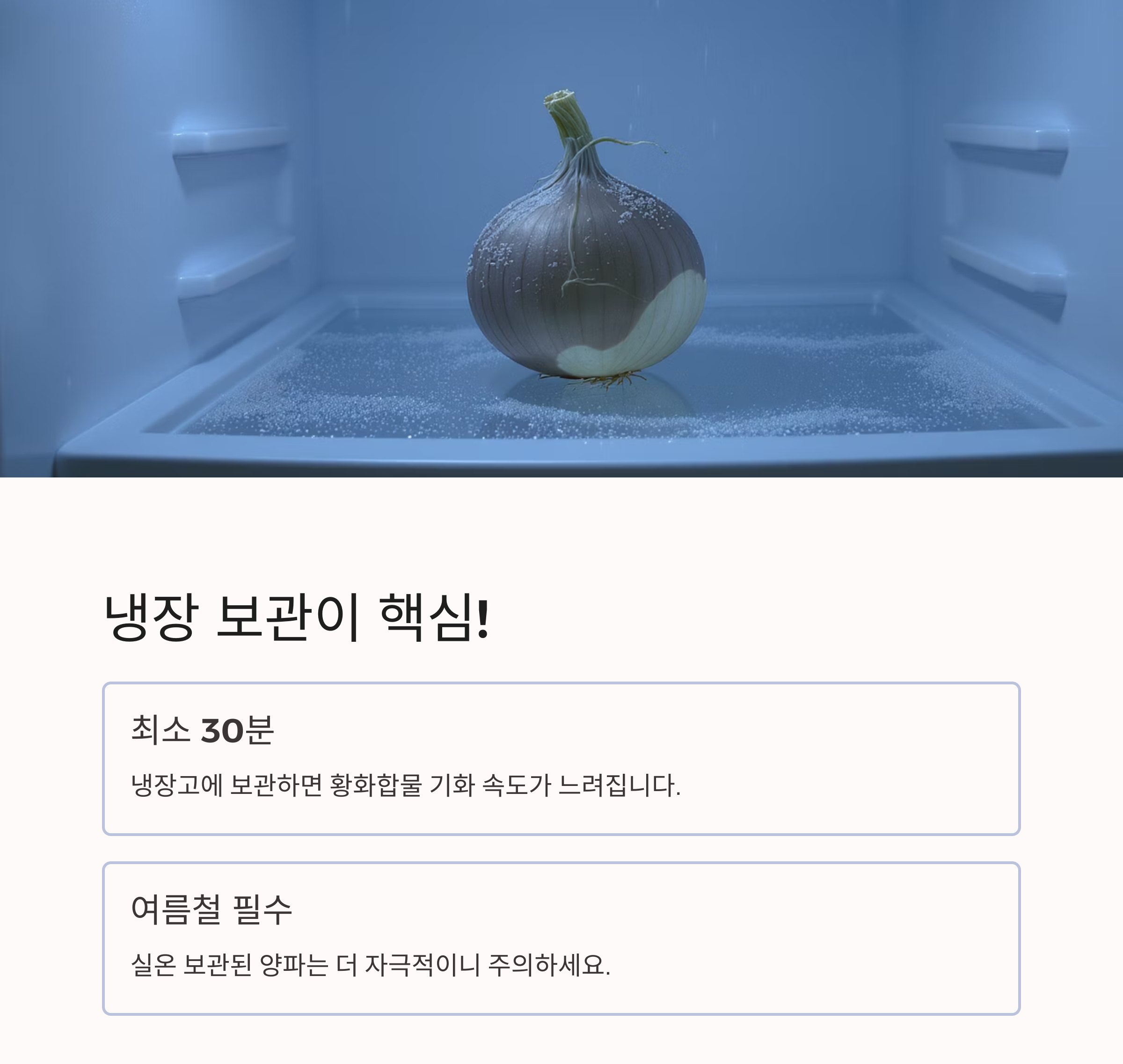 양파 썰 때 눈물 안 나는 꿀팁 대공개! 요리 초보도 웃으며 썬다