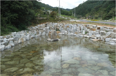 가공조경석사진