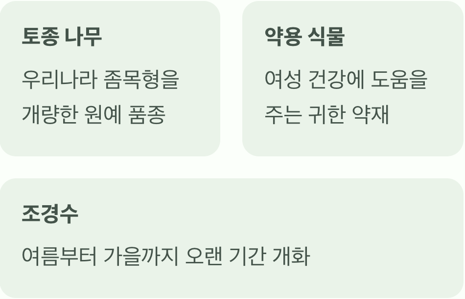 바이텍스, '좀목형'이라는 이름의 비밀