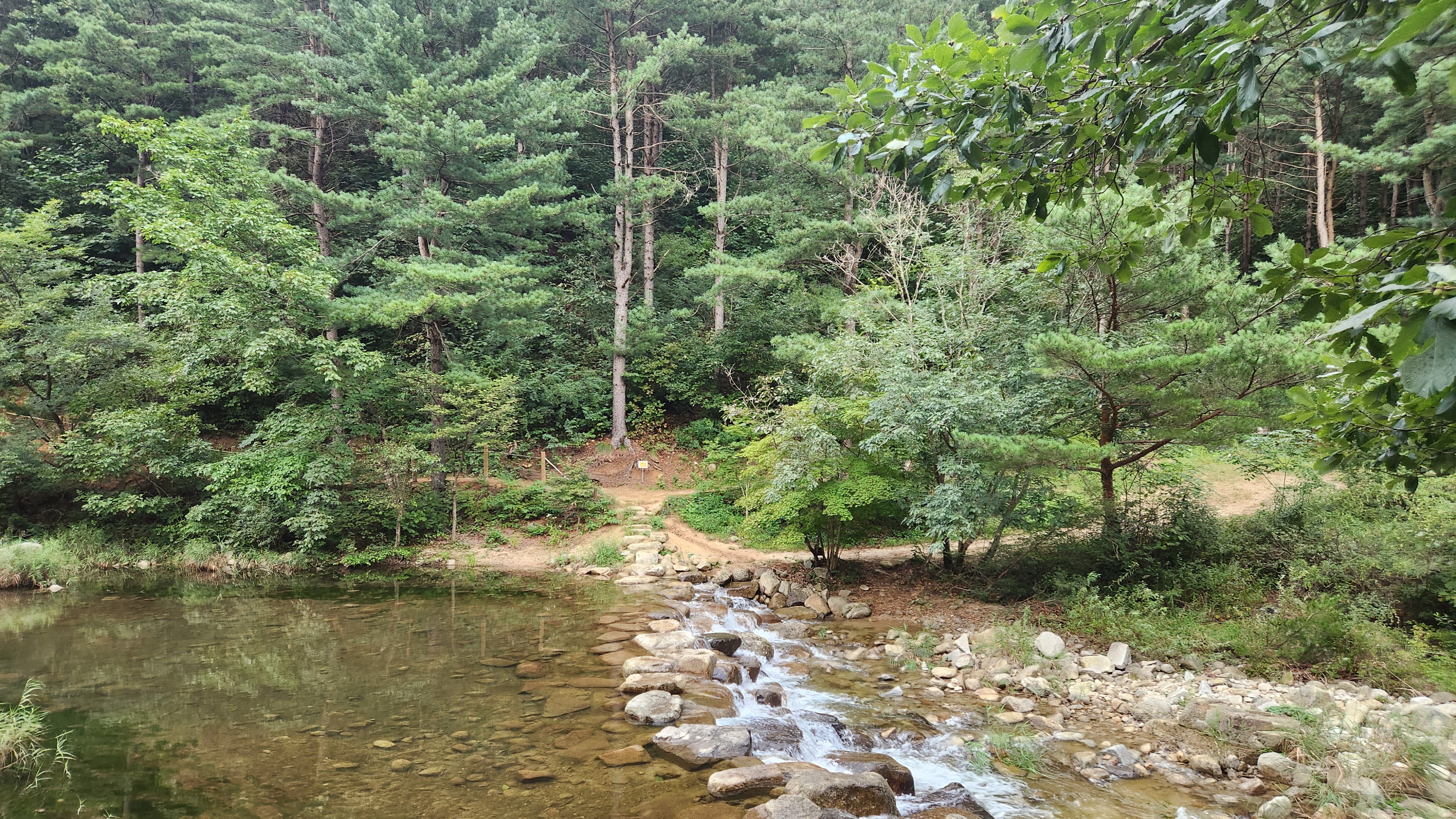 하이킹을 원한다면 계곡 돌다리를 건너 숲속으로