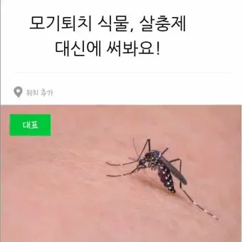 모기 퇴치 모기장 설치와 전자 모기향 환기 수칙_7