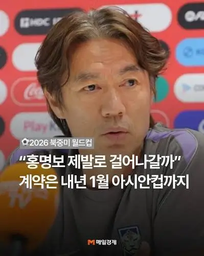 홍명보