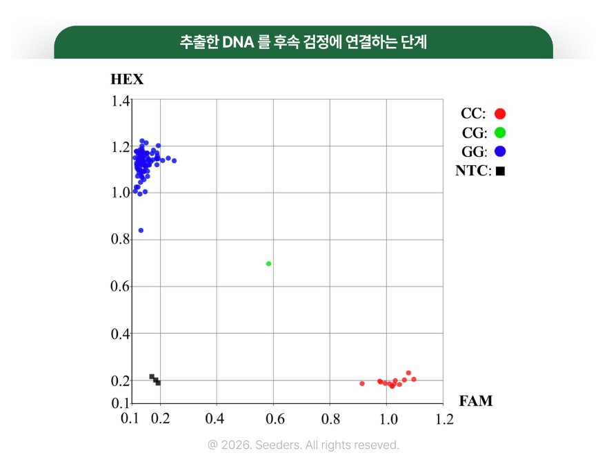 핵산 추출 DNA 후속 검정