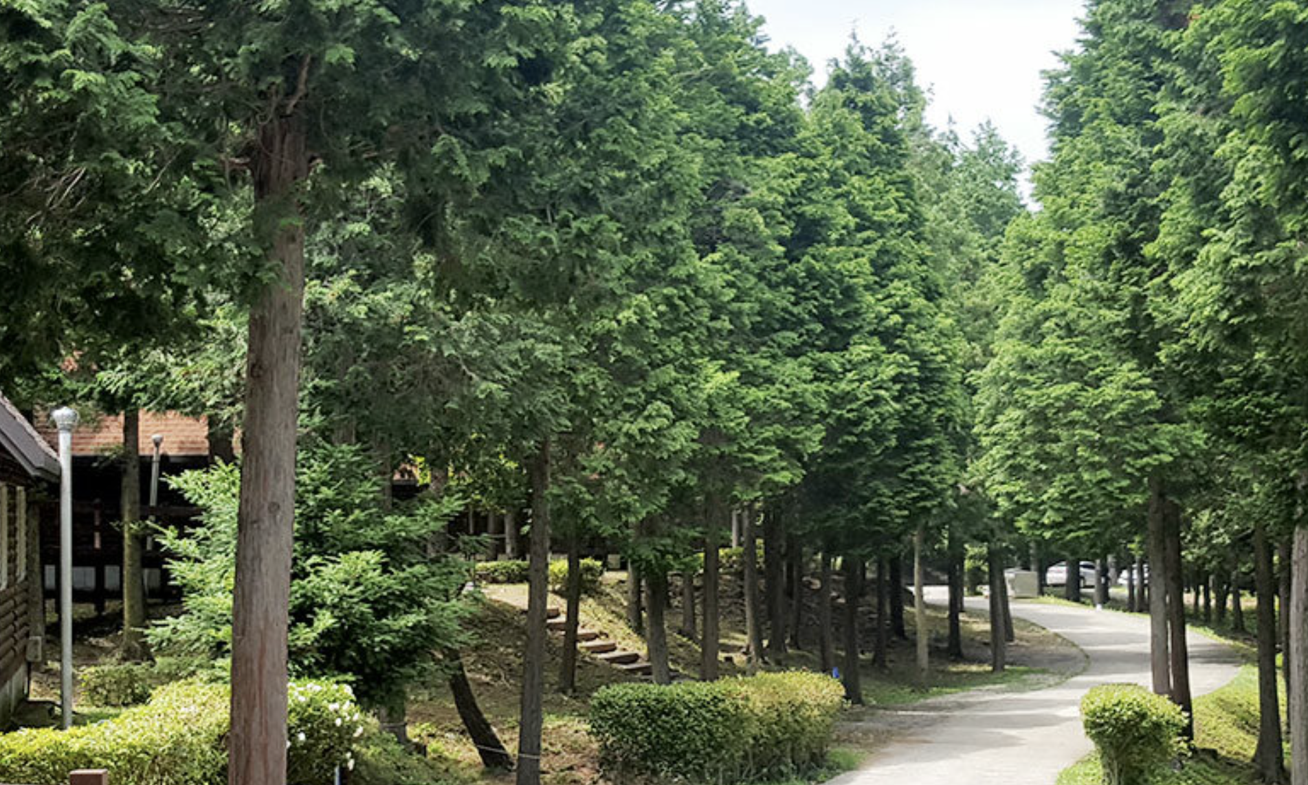 남해편백자연휴양림 숙소