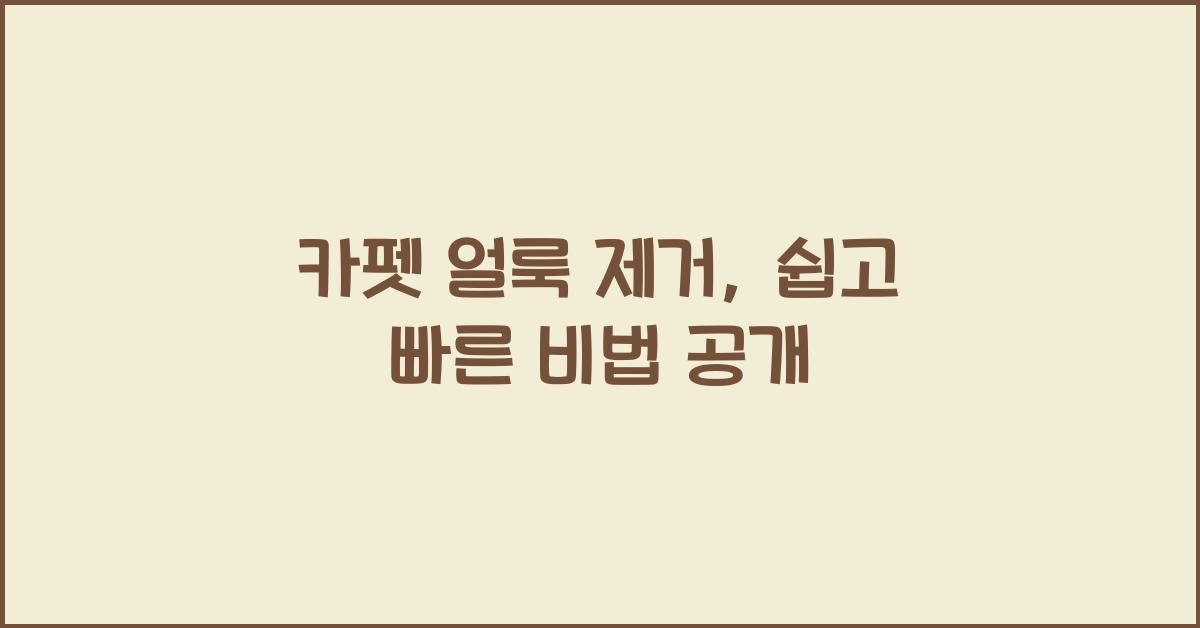 카펫 얼룩 제거