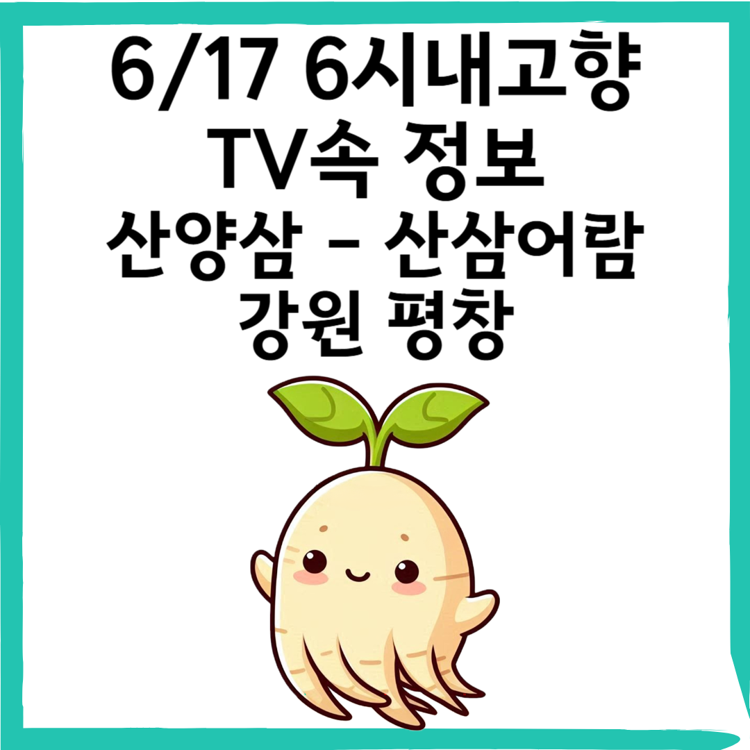 6/17 6시내고향 평창 청정 산지에서 만나는 귀한 보물, 산양삼 &ndash; 산삼어람