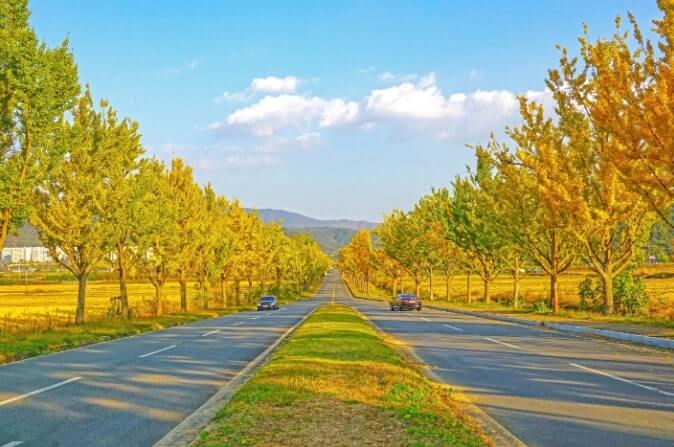 경북 경주 통일전 운곡서원 드라이브 코스