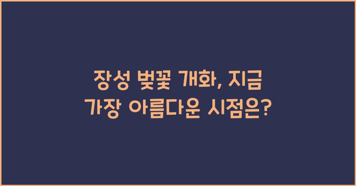 장성 벚꽃 개화