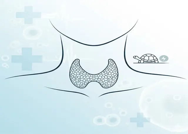 갑상선 기능 저하증으로 인한 신진대사 저하를 상징하는 목 부위 일러스트 이미지