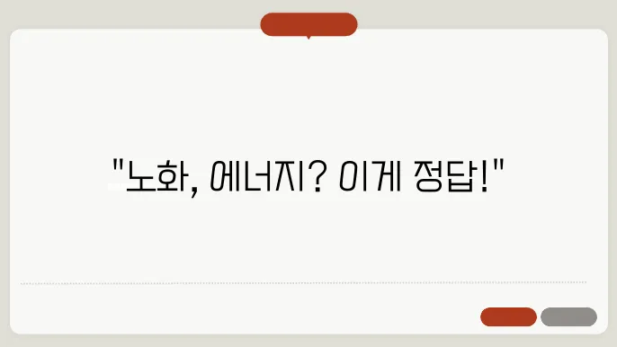로킷아메리쳧4 nmn 롱라스팅 노화 에너지 효쿁와 내돈내산 후기 가격 부작용