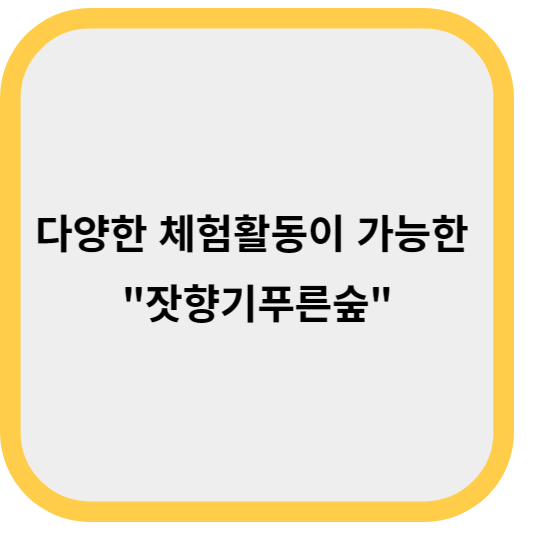 다양한 체험활동이 가능한 '잣향기푸른숲'